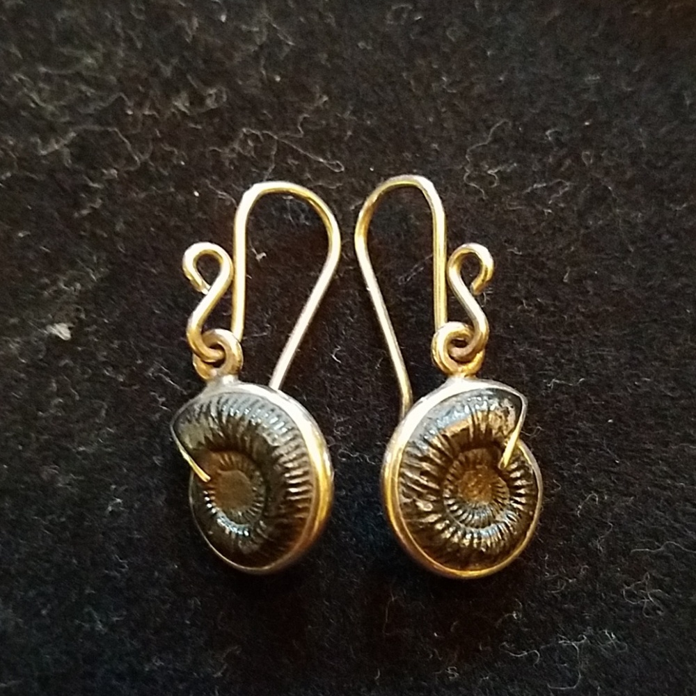 Sterling fossilized Ammonite